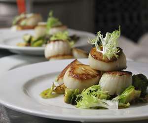 sauteed scallop entree