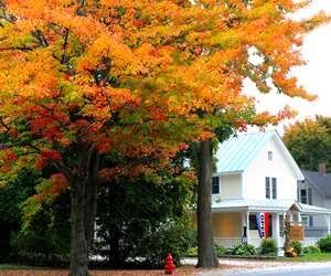 fall scene of building exterior